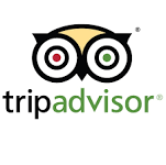 世界最大手旅行サイト「TripAdvisor」でもGengoを活用